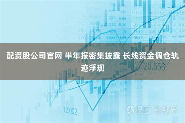配资股公司官网 半年报密集披露 长线资金调仓轨迹浮现