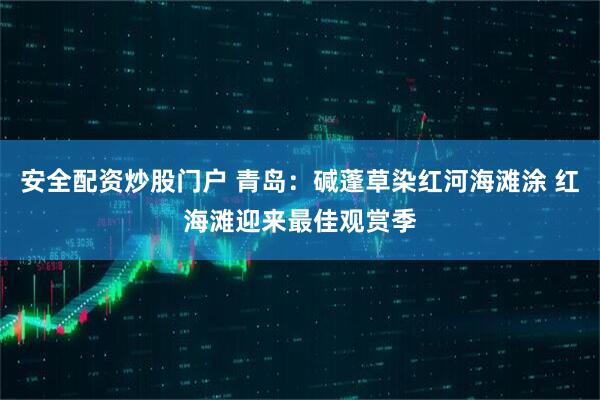 安全配资炒股门户 青岛：碱蓬草染红河海滩涂 红海滩迎来最佳观赏季